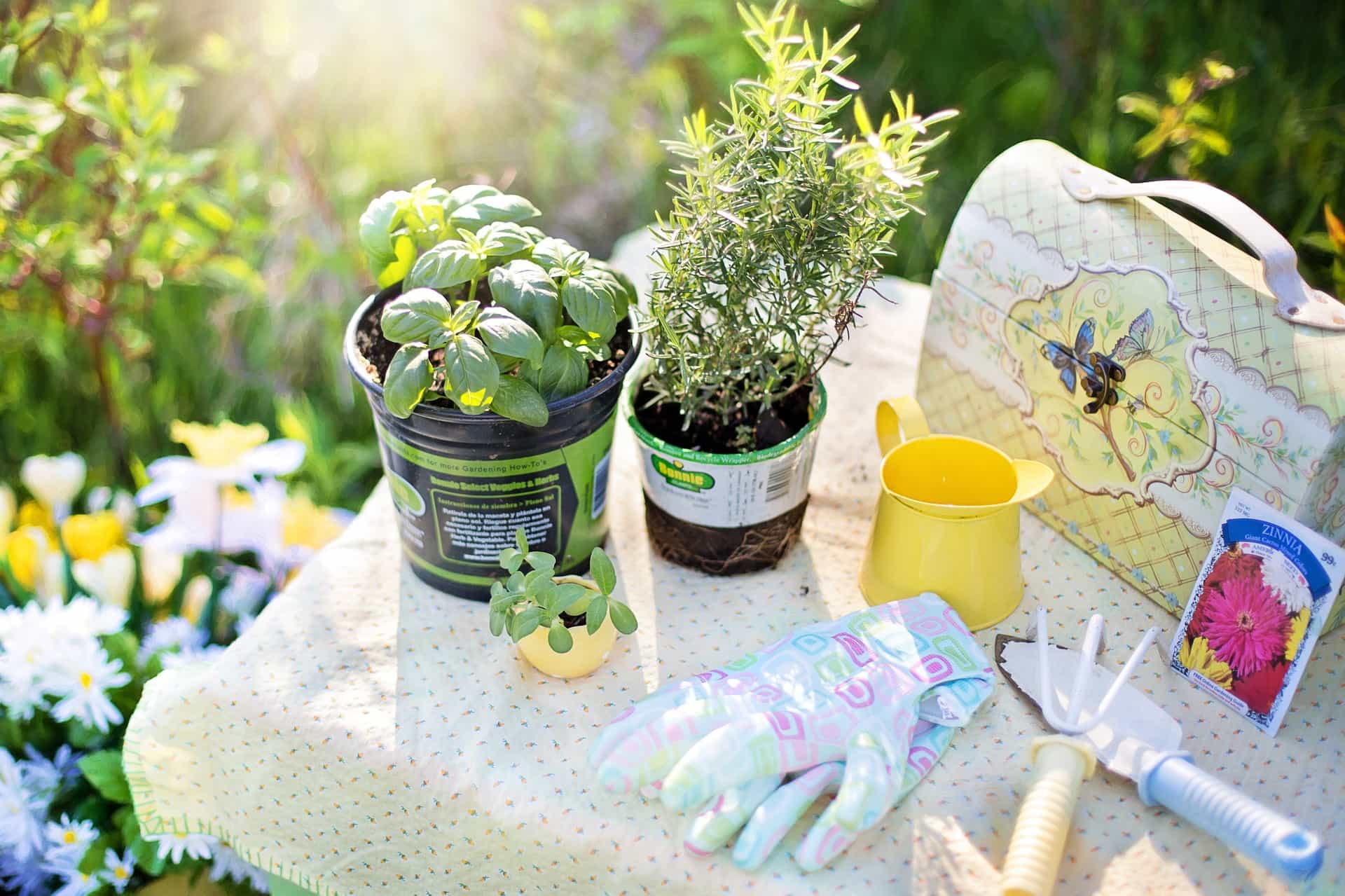 Gardening