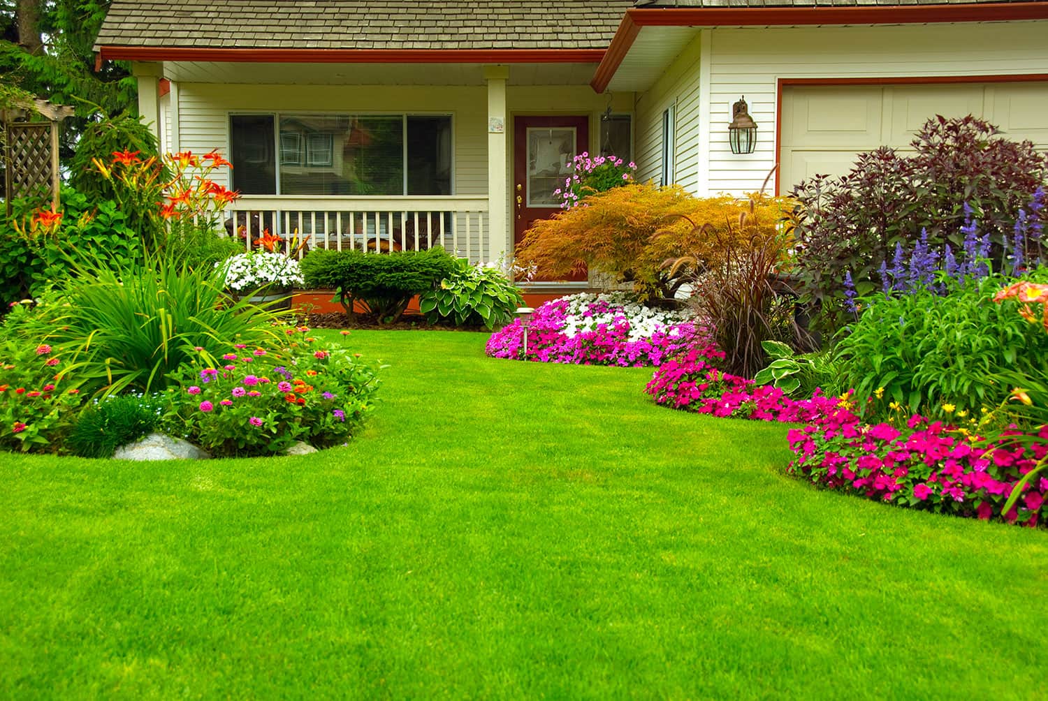 Free Downloadable Landscape Installation