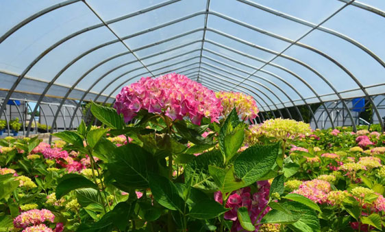 Accessibility Standard Policy